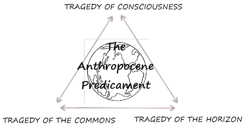 tragedy of the commons diagram